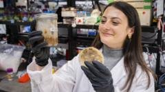 The ancient trick making food waste useful and tasty